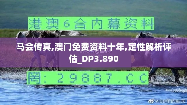 马会传真,澳门免费资料十年,定性解析评估_DP3.890