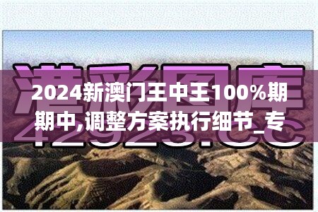 2024新澳门王中王100%期期中,调整方案执行细节_专属款15.342