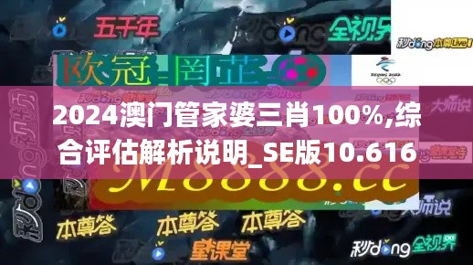 2024澳门管家婆三肖100%,综合评估解析说明_SE版10.616