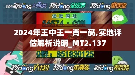 2024年王中王一肖一码,实地评估解析说明_MT2.137