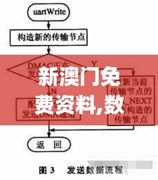 新澳门免费资料,数据驱动策略设计_VIP8.295