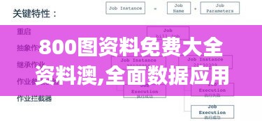 800图资料免费大全资料澳,全面数据应用分析_SP8.539