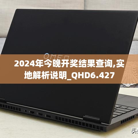 2024年今晚开奖结果查询,实地解析说明_QHD6.427