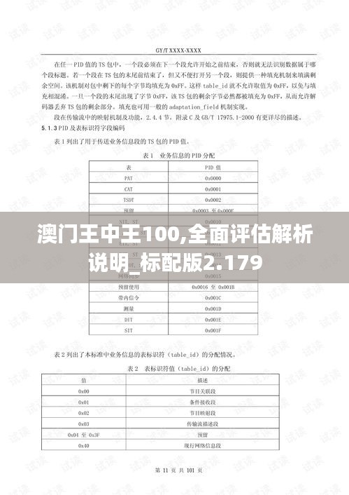 澳门王中王100,全面评估解析说明_标配版2.179