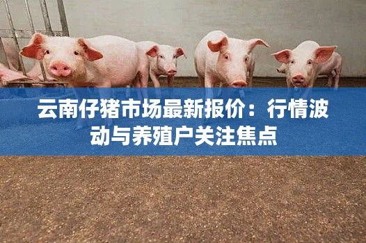 云南仔猪市场最新报价：行情波动与养殖户关注焦点