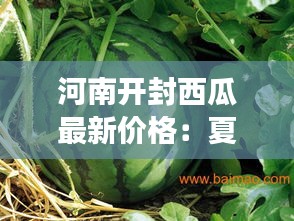 河南开封西瓜最新价格：夏日里的甜蜜诱惑