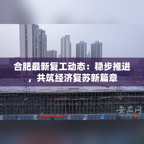 合肥最新复工动态：稳步推进，共筑经济复苏新篇章