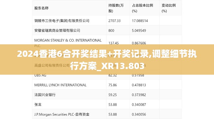 2024香港6合开奖结果+开奖记录,调整细节执行方案_XR13.803