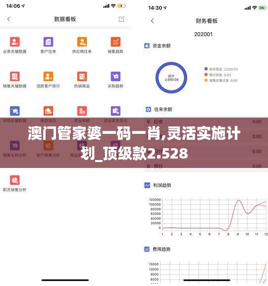 澳门管家婆一码一肖,灵活实施计划_顶级款2.528