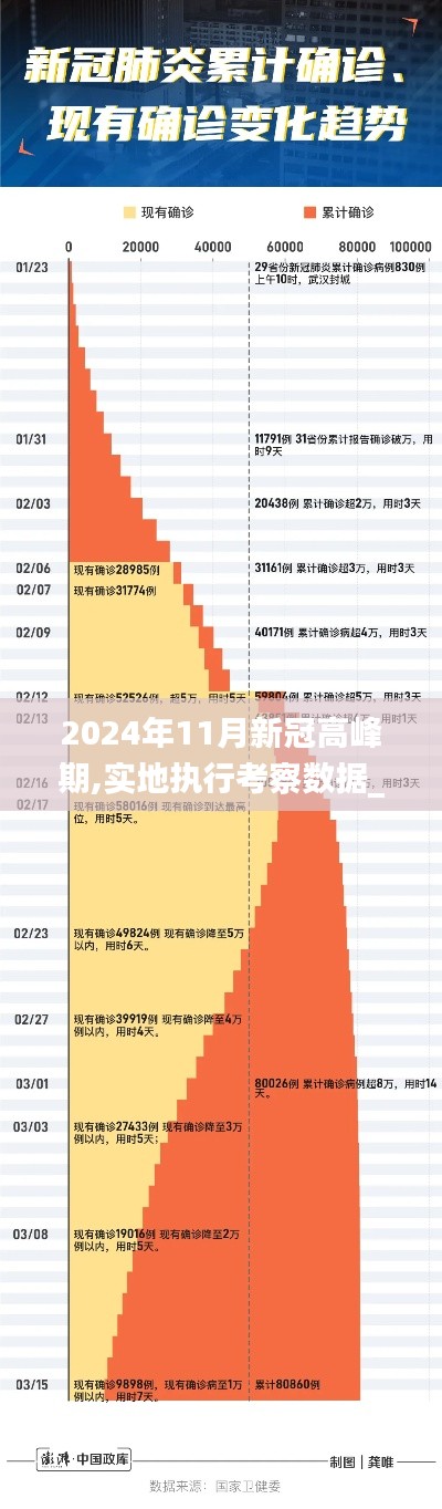 2024年11月新冠高峰期,实地执行考察数据_YE版8.268