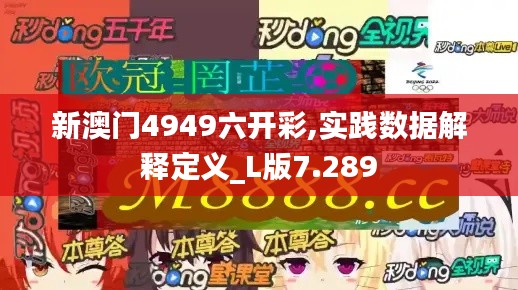 新澳门4949六开彩,实践数据解释定义_L版7.289