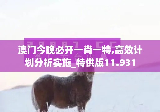 澳门今晚必开一肖一特,高效计划分析实施_特供版11.931