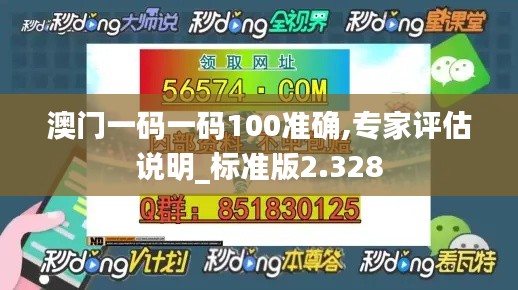 澳门一码一码100准确,专家评估说明_标准版2.328