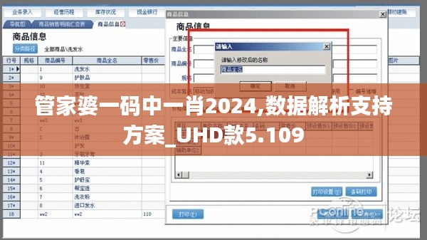 管家婆一码中一肖2024,数据解析支持方案_UHD款5.109