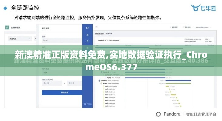 新澳精准正版资料免费,实地数据验证执行_ChromeOS6.377