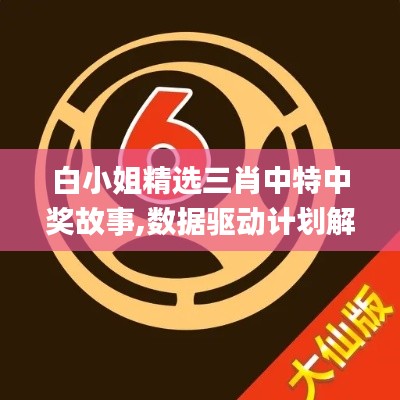 白小姐精选三肖中特中奖故事,数据驱动计划解析_铂金版8.891