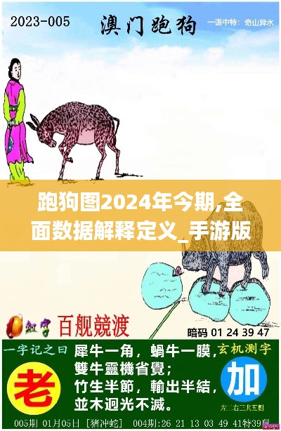 跑狗图2024年今期,全面数据解释定义_手游版14.121