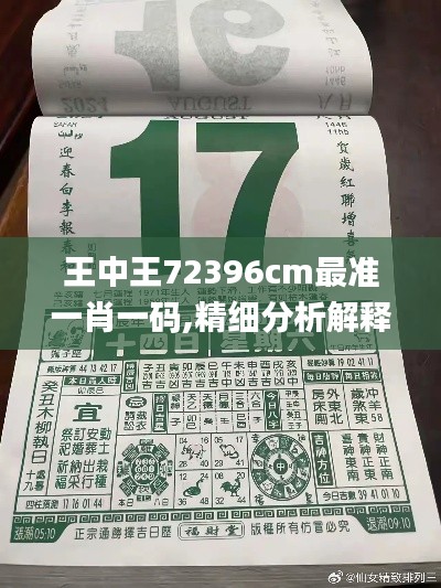 王中王72396cm最准一肖一码,精细分析解释定义_增强版7.897