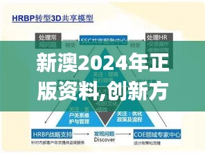 新澳2024年正版资料,创新方案解析_AP11.561