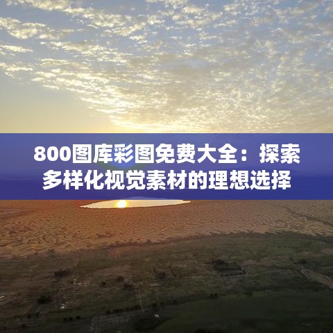 800图库彩图免费大全：探索多样化视觉素材的理想选择