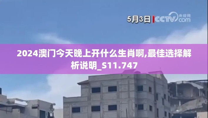 2024澳门今天晚上开什么生肖啊,最佳选择解析说明_S11.747