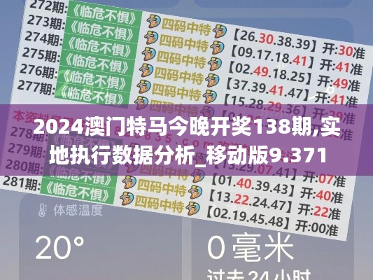 2024澳门特马今晚开奖138期,实地执行数据分析_移动版9.371