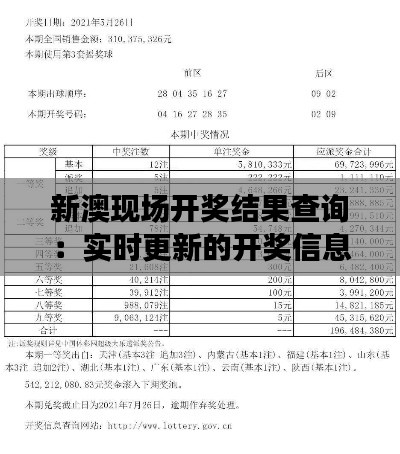 新澳现场开奖结果查询：实时更新的开奖信息增加了参与感