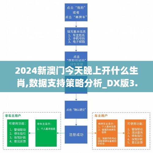 2024新澳门今天晚上开什么生肖,数据支持策略分析_DX版3.250