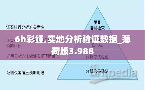 6h彩经,实地分析验证数据_薄荷版3.988