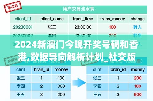 2024新澳门今晚开奖号码和香港,数据导向解析计划_社交版7.899