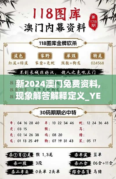 新2024澳门兔费资料,现象解答解释定义_YE版3.951