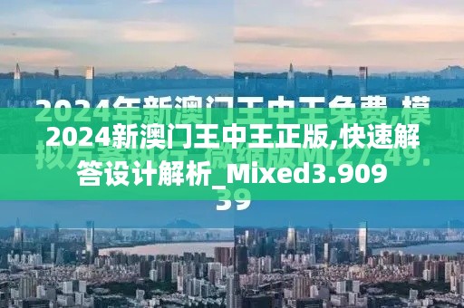 2024新澳门王中王正版,快速解答设计解析_Mixed3.909