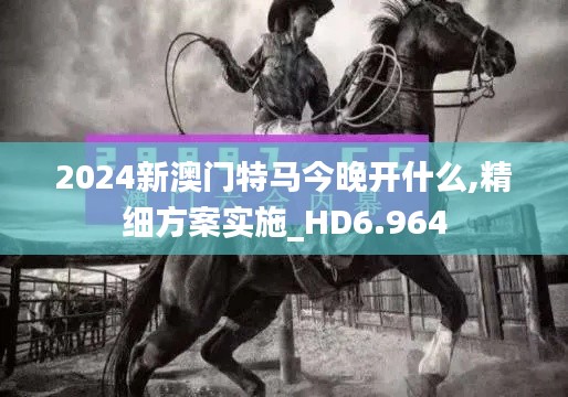 2024新澳门特马今晚开什么,精细方案实施_HD6.964