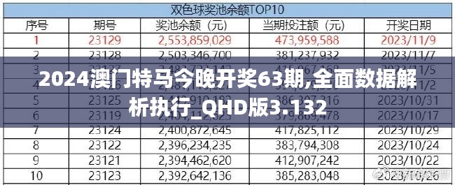 2024澳门特马今晚开奖63期,全面数据解析执行_QHD版3.132