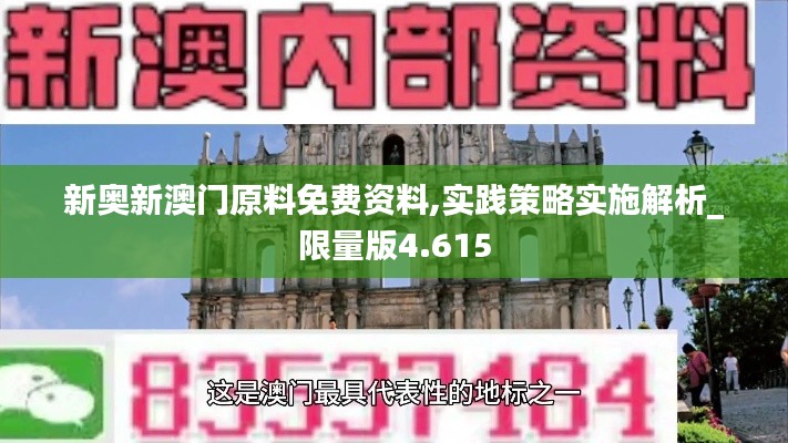 新奥新澳门原料免费资料,实践策略实施解析_限量版4.615