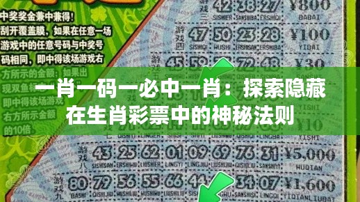 2024年12月16日 第9页