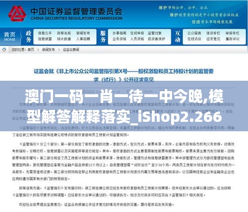 澳门一码一肖一待一中今晚,模型解答解释落实_iShop2.266