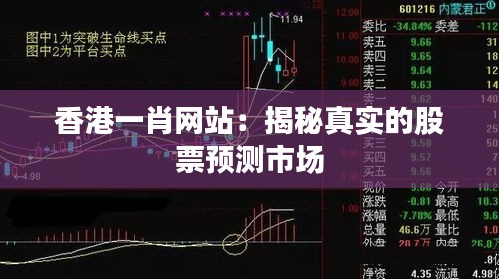 香港一肖网站：揭秘真实的股票预测市场