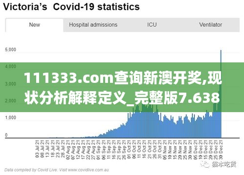 111333.соm查询新澳开奖,现状分析解释定义_完整版7.638