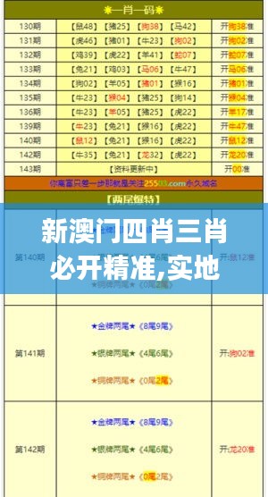 新澳门四肖三肖必开精准,实地策略评估数据_免费版16.572