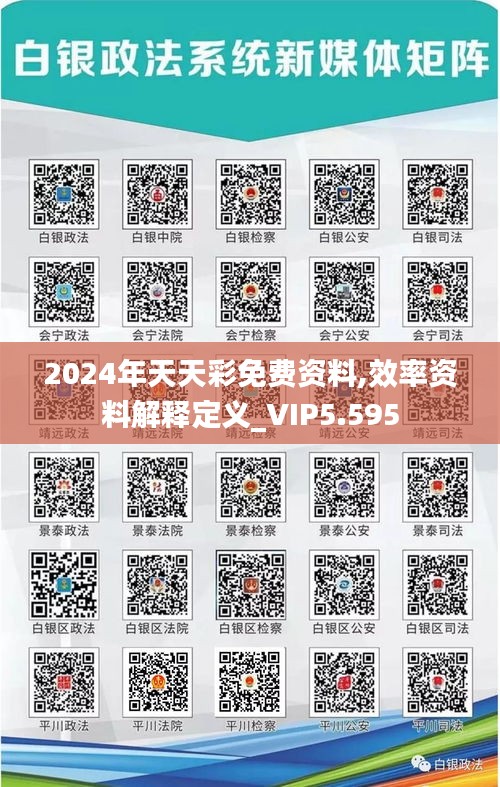 2024年天天彩免费资料,效率资料解释定义_VIP5.595