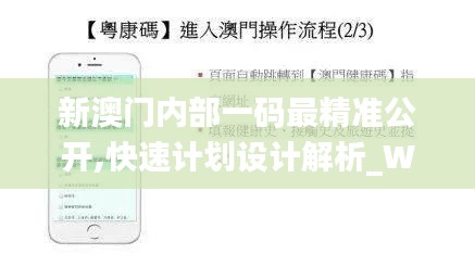 新澳门内部一码最精准公开,快速计划设计解析_WP版9.345