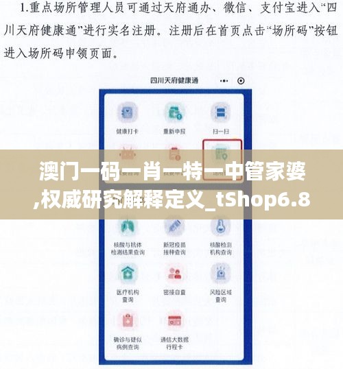澳门一码一肖一特一中管家婆,权威研究解释定义_tShop6.845