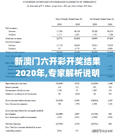 新澳门六开彩开奖结果2020年,专家解析说明_Max7.337