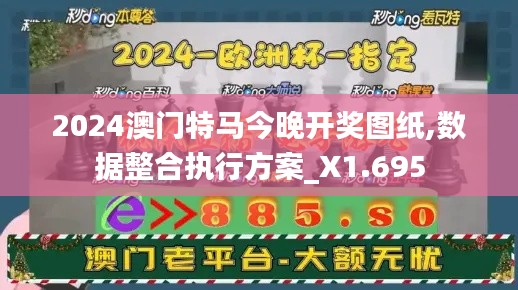 2024澳门特马今晚开奖图纸,数据整合执行方案_X1.695