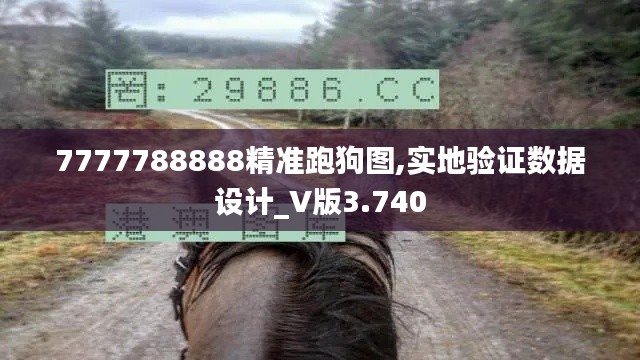 7777788888精准跑狗图,实地验证数据设计_V版3.740