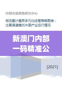 新澳门内部一码精准公开,多元化方案执行策略_游戏版10.342