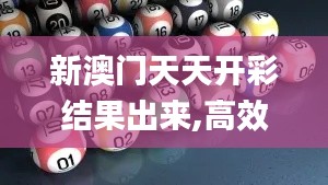 新澳门天天开彩结果出来,高效性实施计划解析_3K18.149