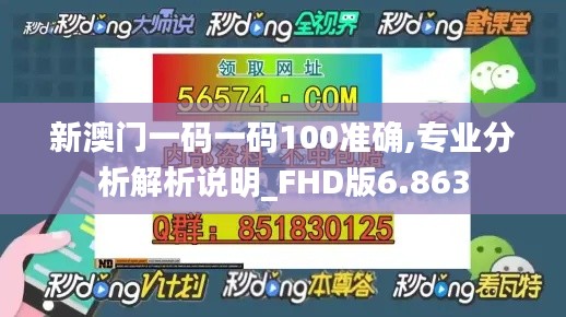 新澳门一码一码100准确,专业分析解析说明_FHD版6.863