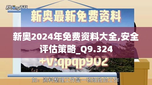 新奥2024年免费资料大全,安全评估策略_Q9.324